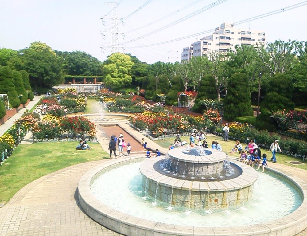 Outdoor Pictures 22