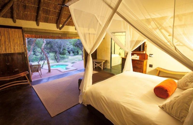 Safari Lodge - Amakhala Game Reserve