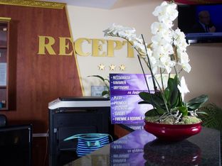 Hotel Image 5