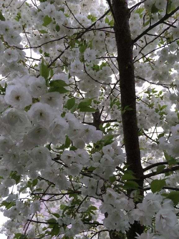 Outdoor Pictures 21