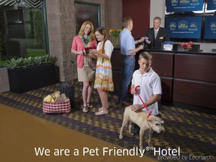 Hotel Image 5