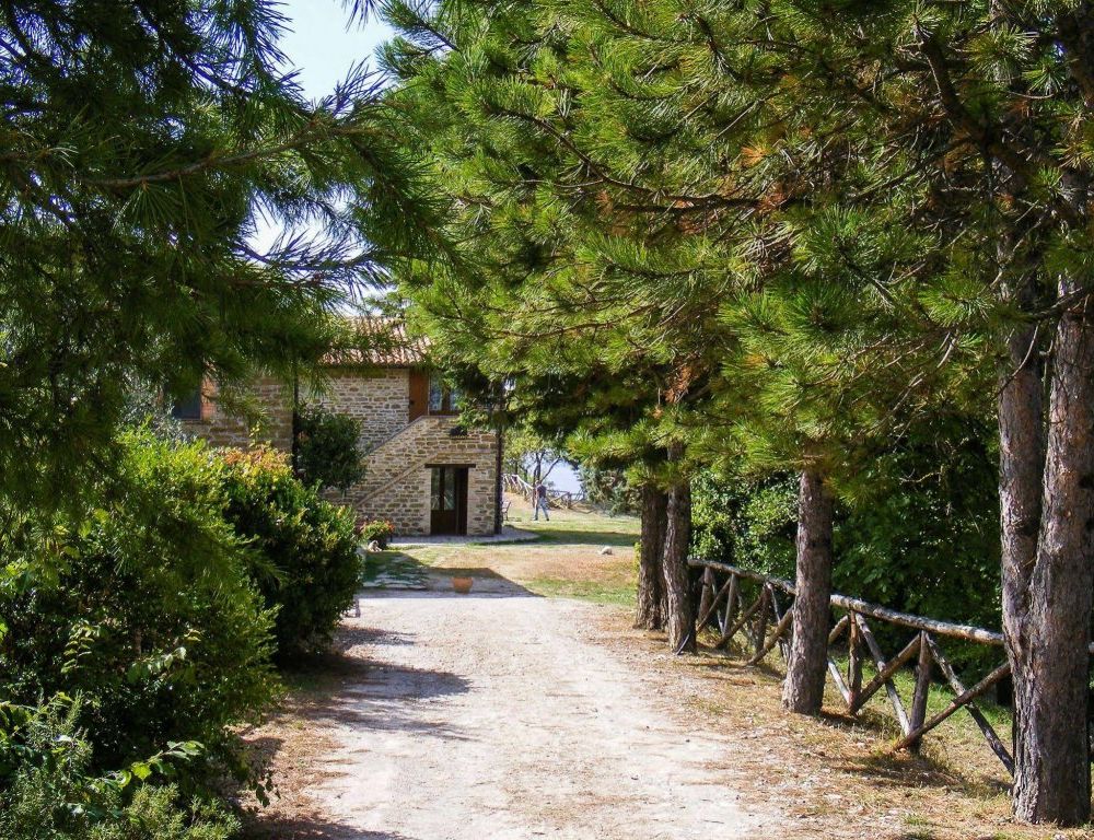 Outdoor Pictures 21