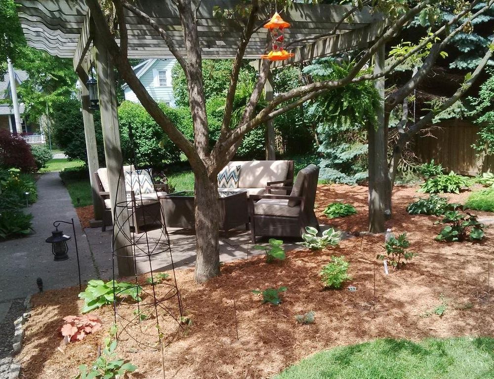 Outdoor Pictures 15