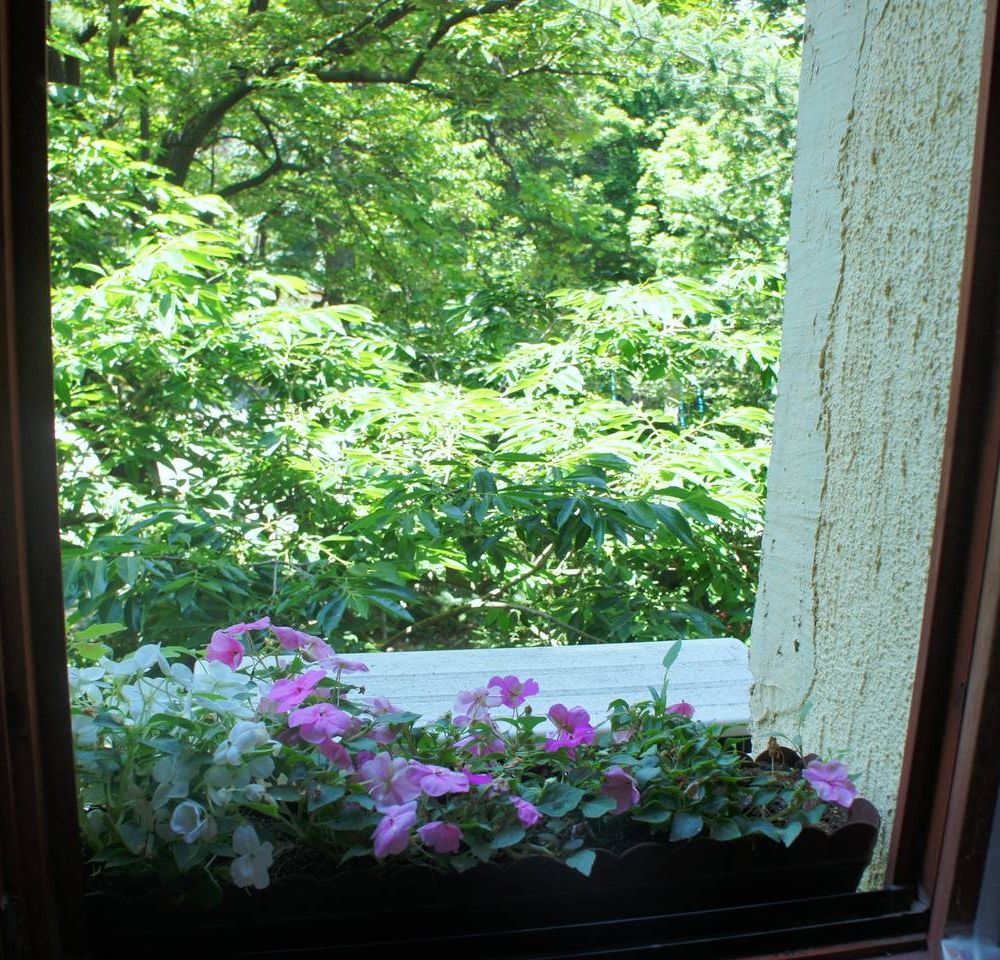 Outdoor Pictures 6
