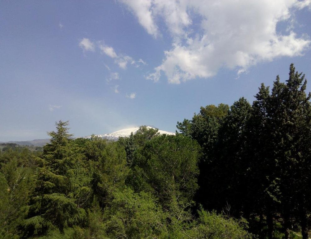 Outdoor Pictures 22