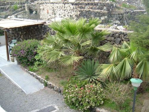 Outdoor Pictures 7