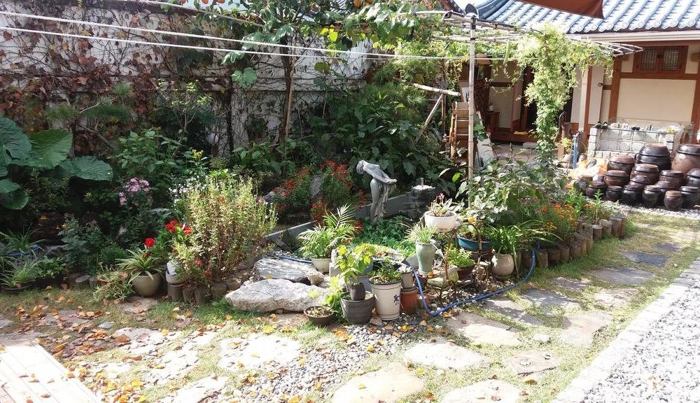 Outdoor Pictures 23