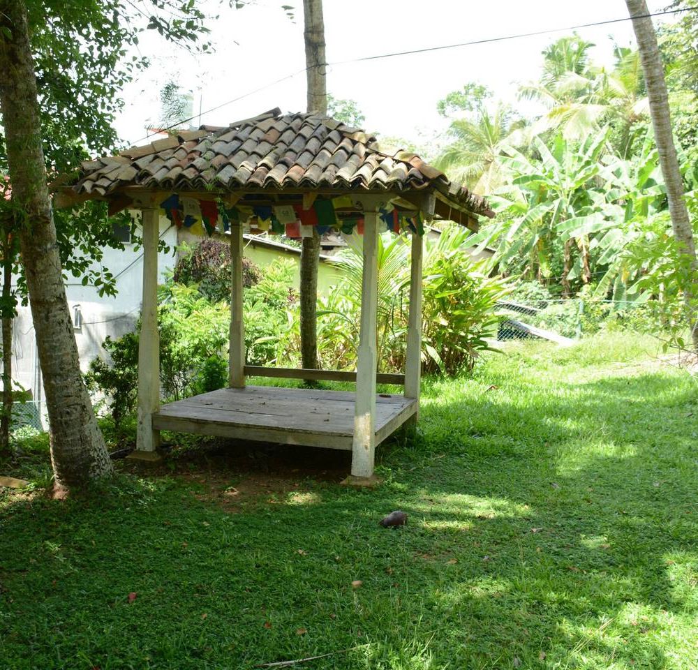 Outdoor Pictures 4