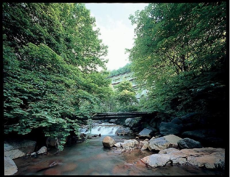Outdoor Pictures 14