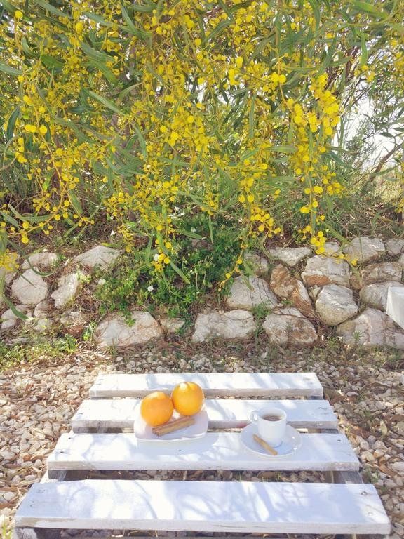 Outdoor Pictures 20
