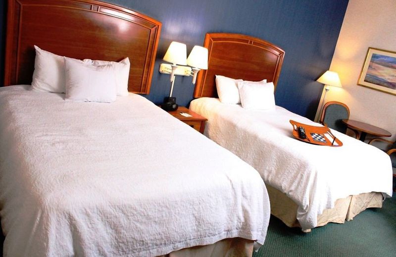 Hampton by Hilton Chihuahua