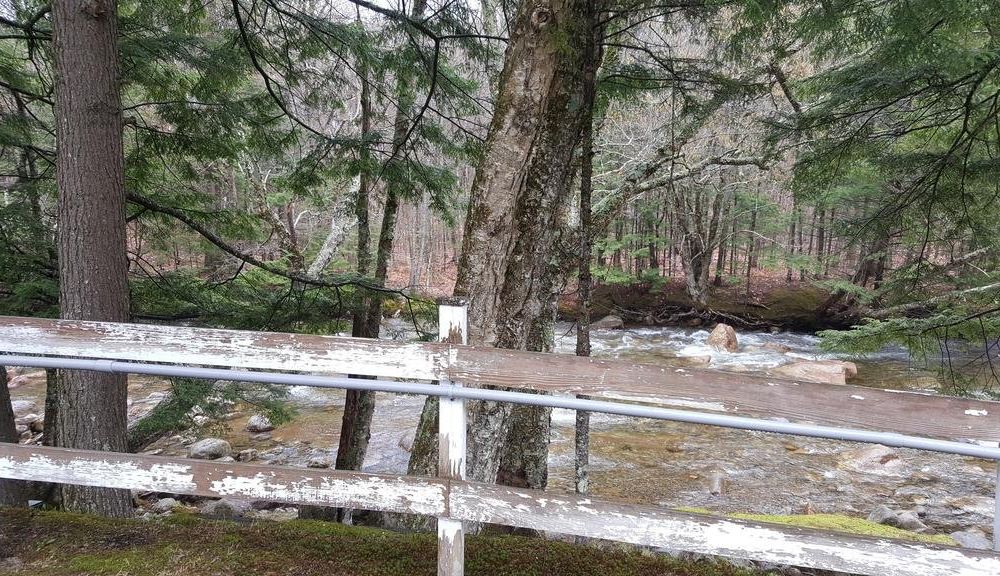 Outdoor Pictures 15