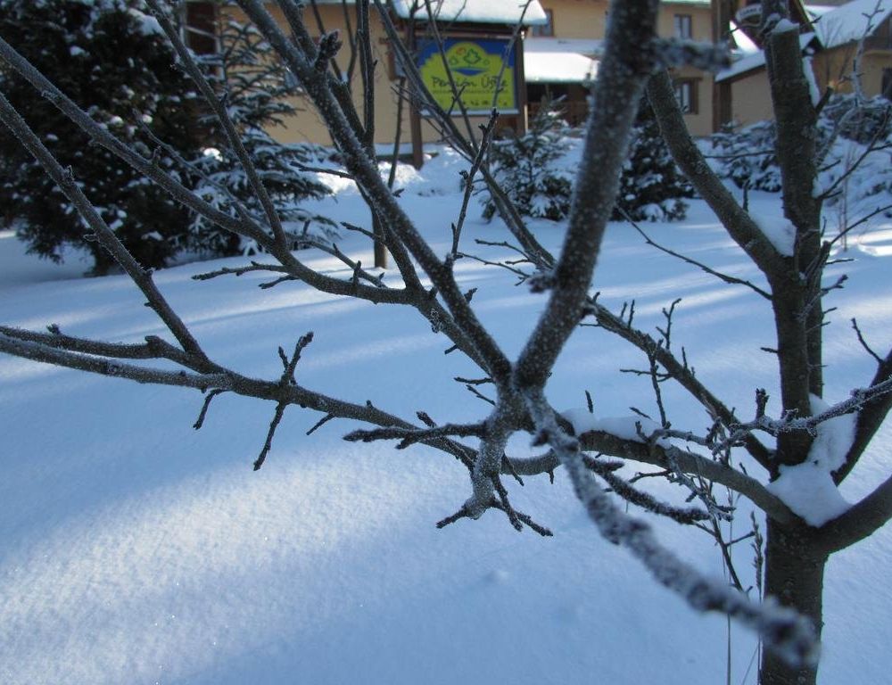 Outdoor Pictures 20