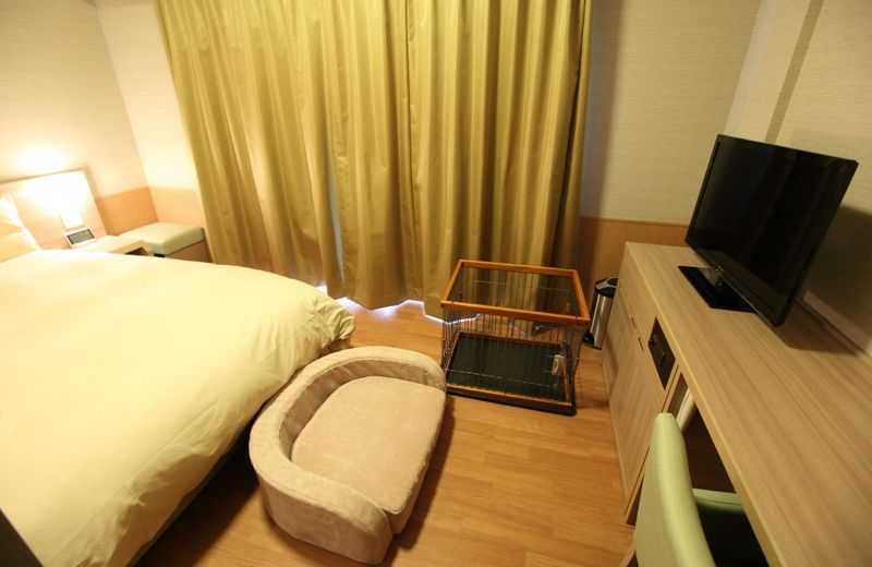 Dormy Inn Express Kakegawa