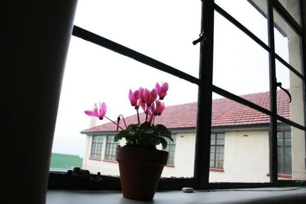 Outdoor Pictures 13