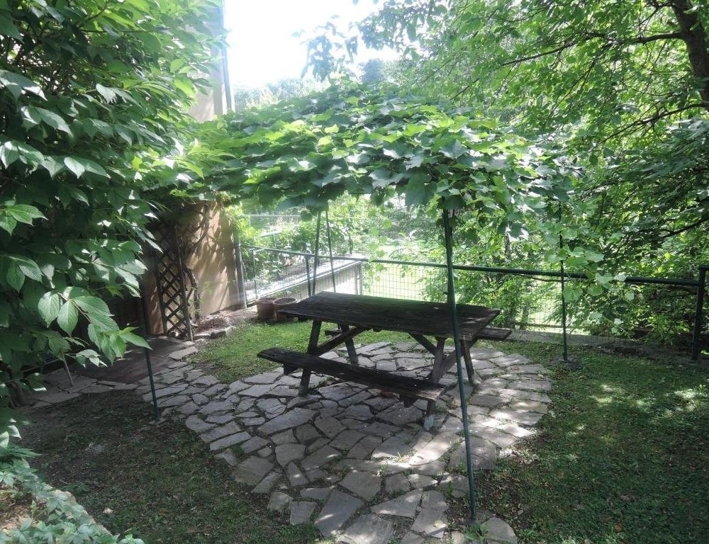 Outdoor Pictures 12