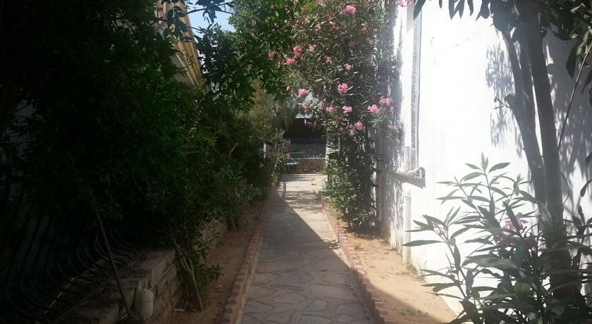 Outdoor Pictures 11
