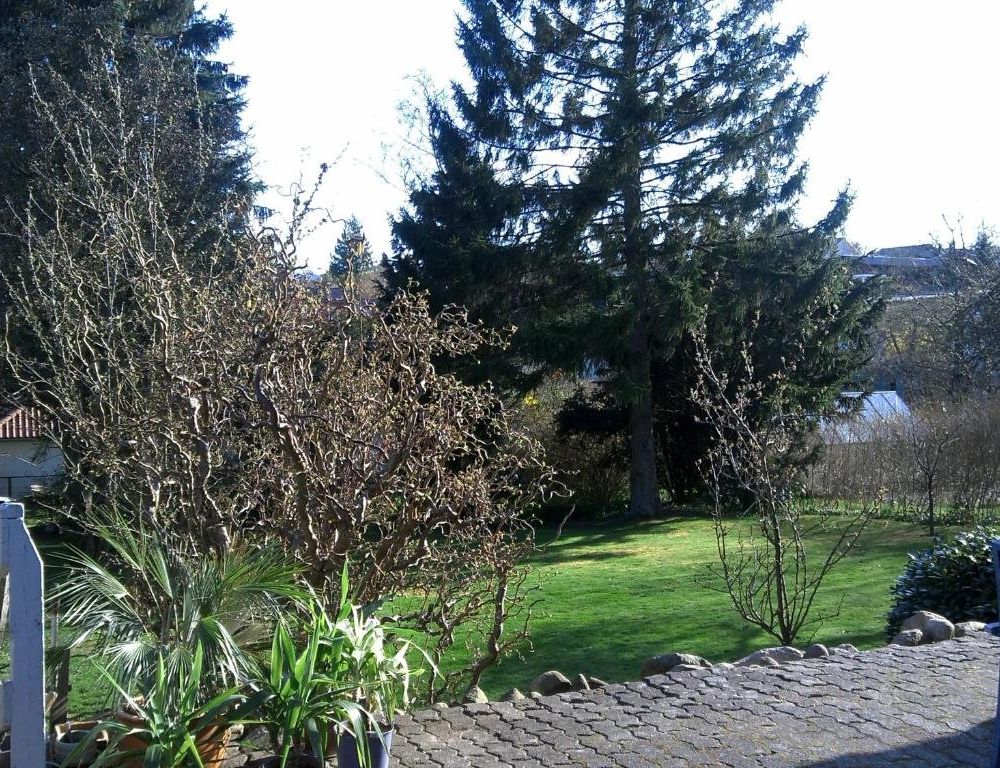 Outdoor Pictures 19