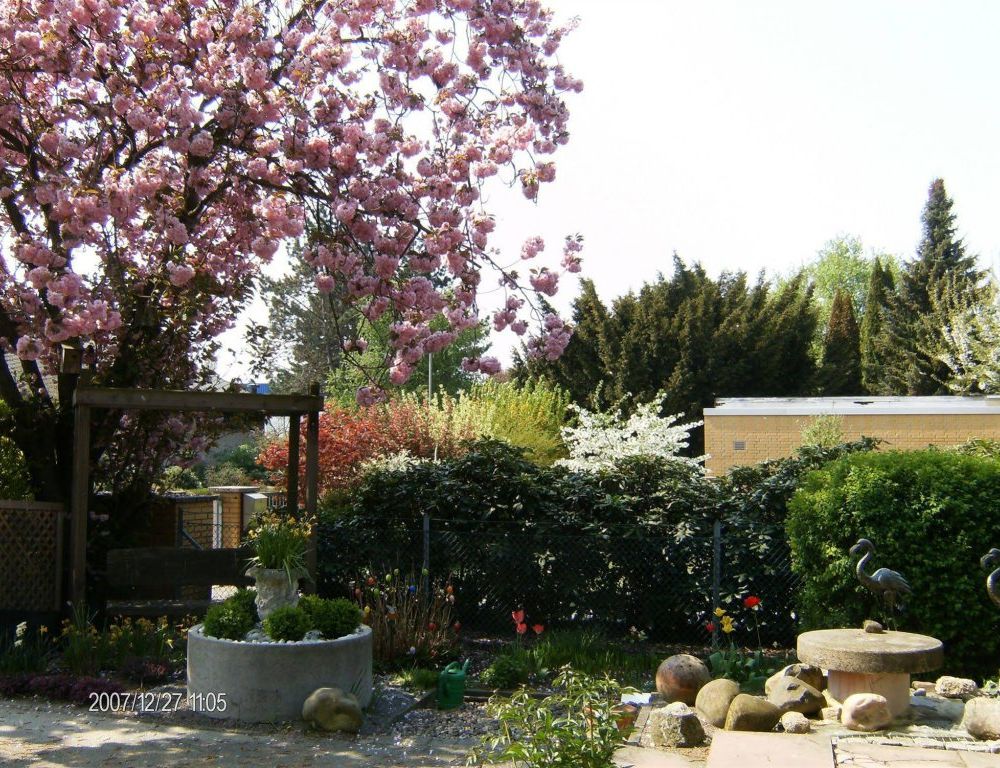 Outdoor Pictures 18