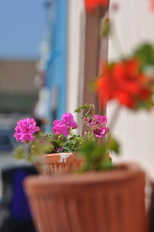 Outdoor Pictures 13