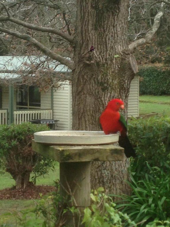 Outdoor Pictures 15
