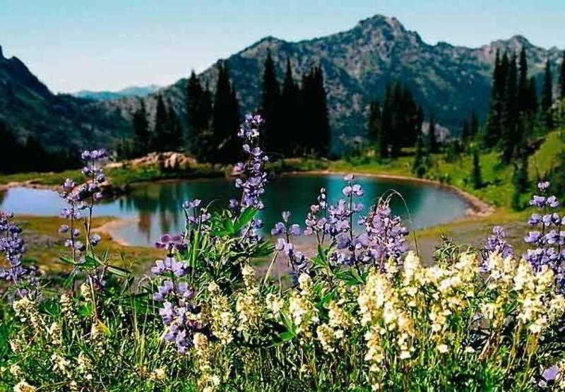 Outdoor Pictures 20