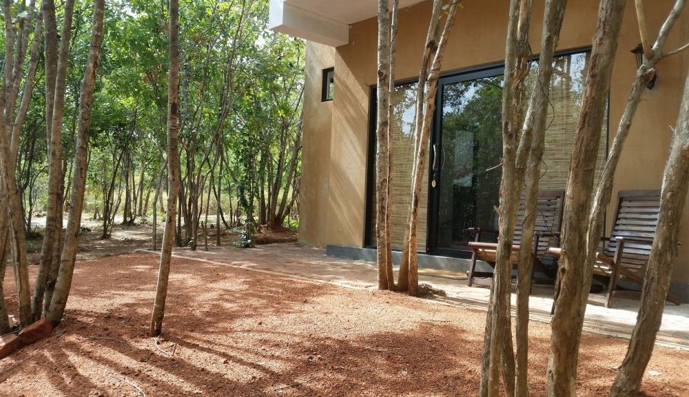 Outdoor Pictures 10