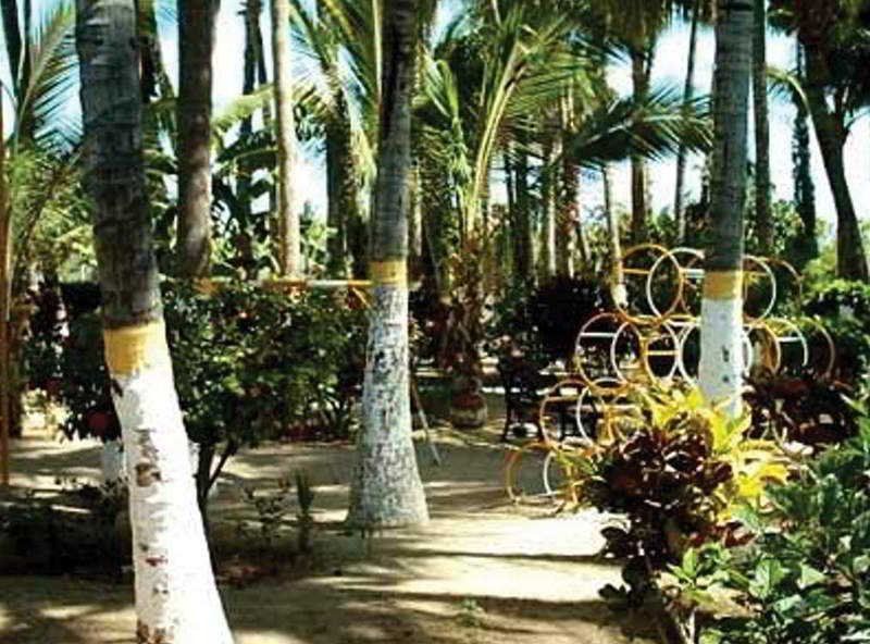Outdoor Pictures 19