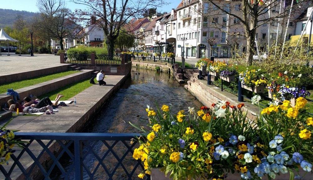 Outdoor Pictures 22