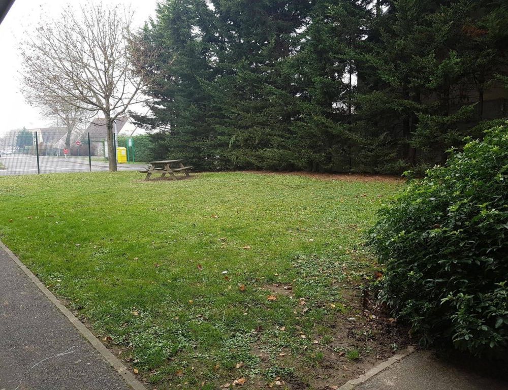 Outdoor Pictures 21
