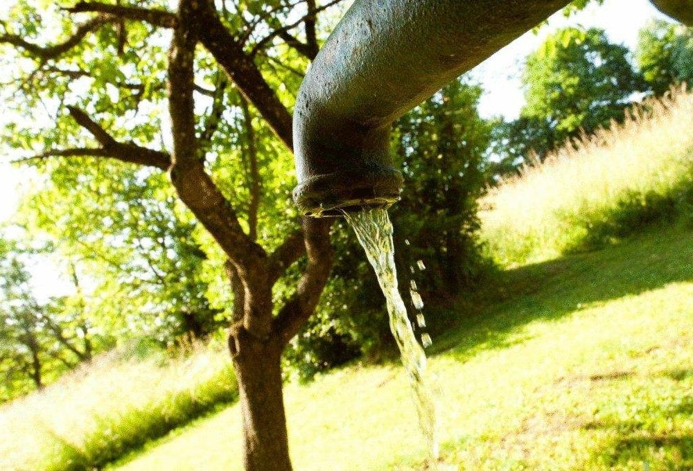 Outdoor Pictures 21