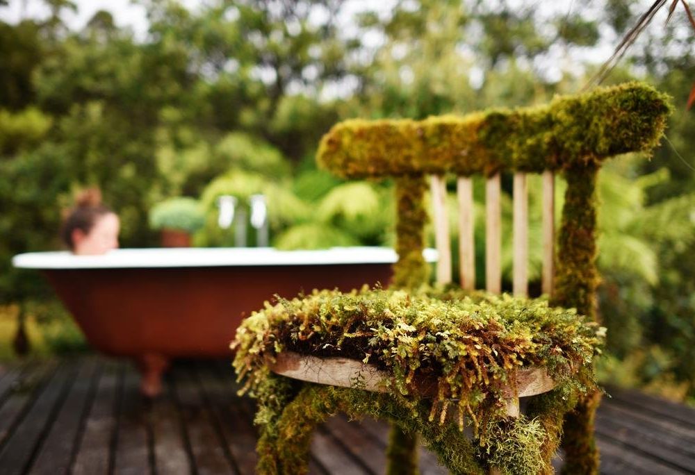 Outdoor Pictures 10
