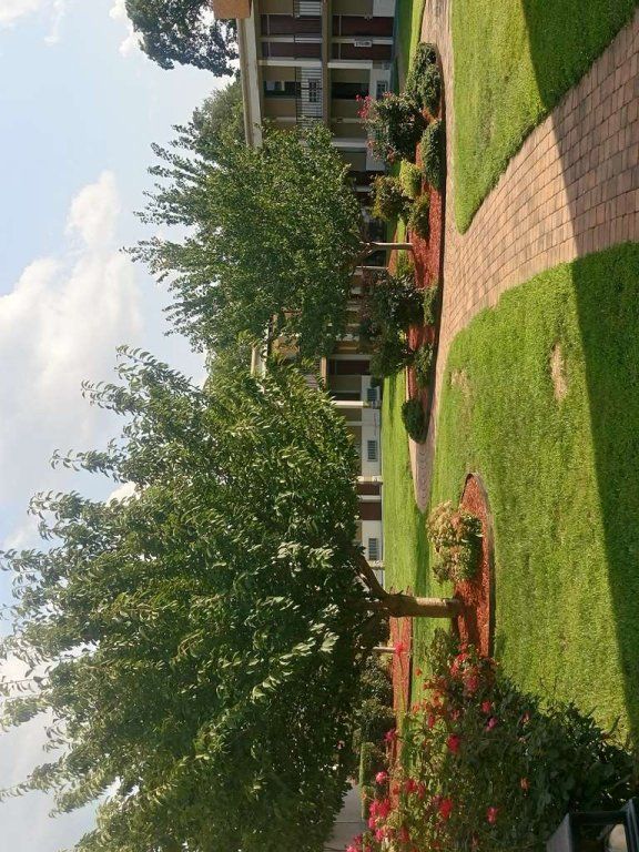 Outdoor Pictures 13