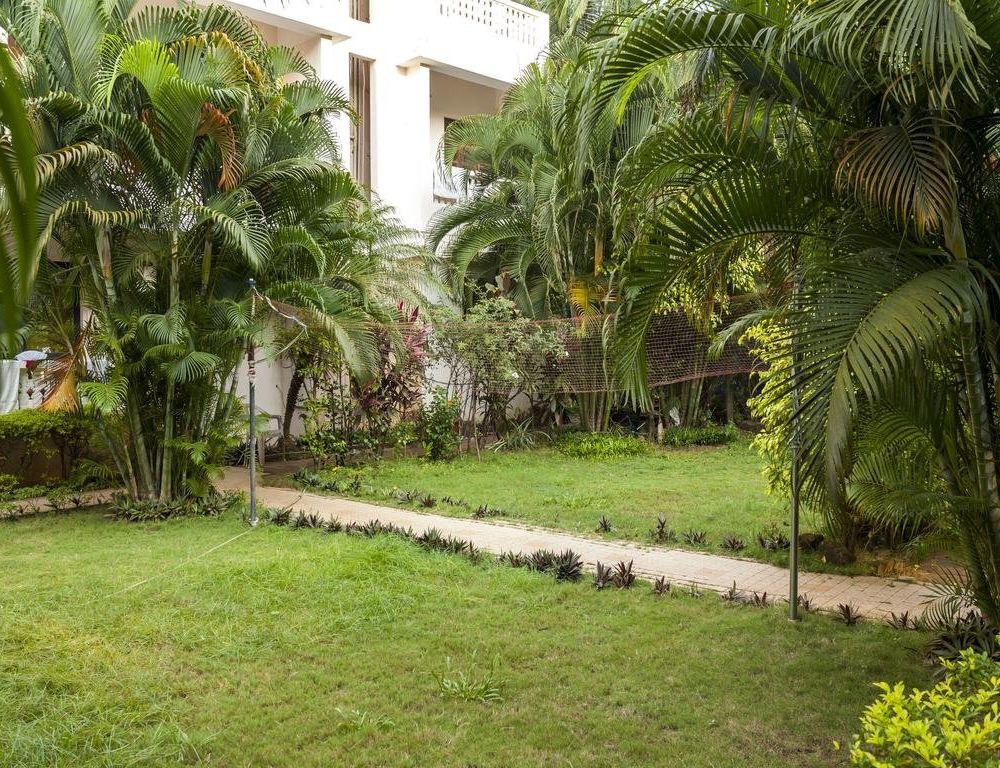 Outdoor Pictures 21