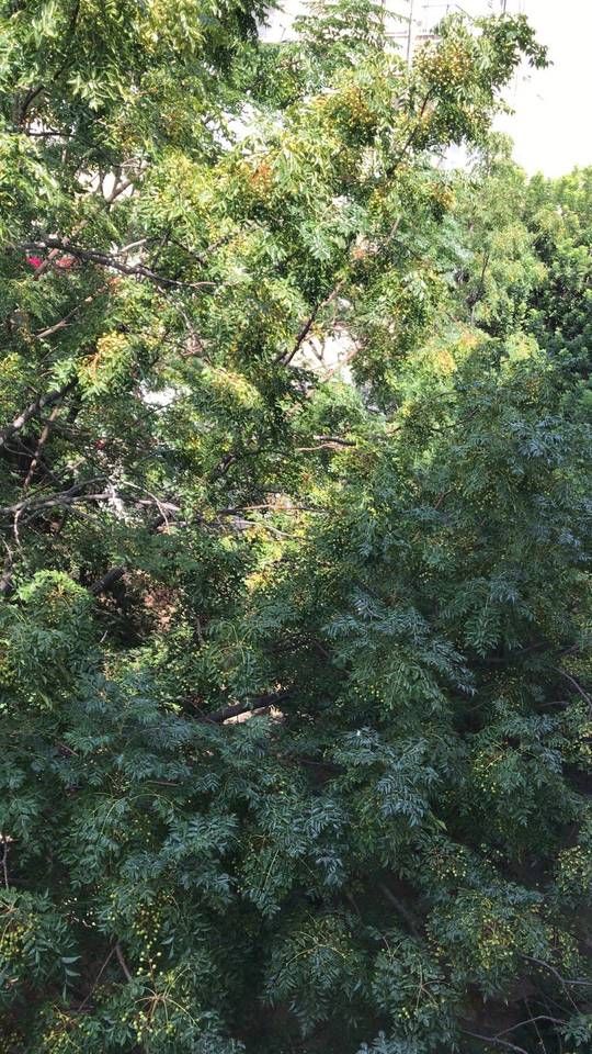 Outdoor Pictures 22