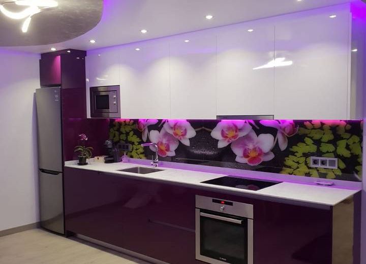 Dary Rent Orquidea