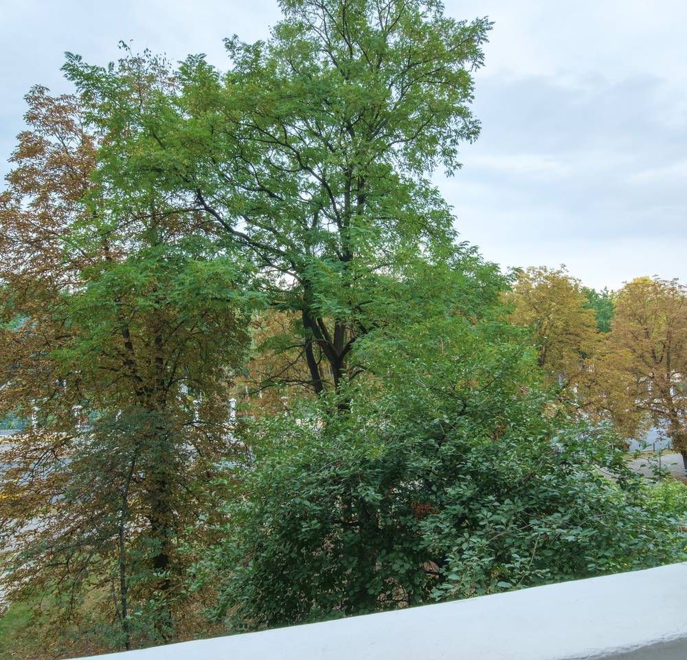 Outdoor Pictures 4