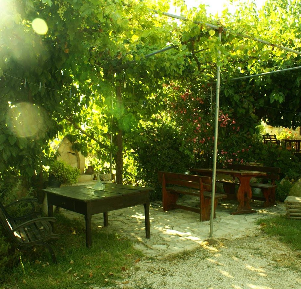 Outdoor Pictures 3