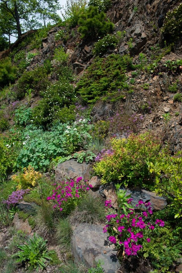 Outdoor Pictures 23
