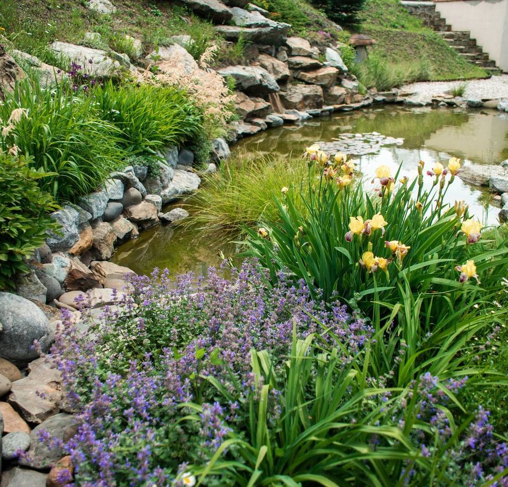 Outdoor Pictures 7