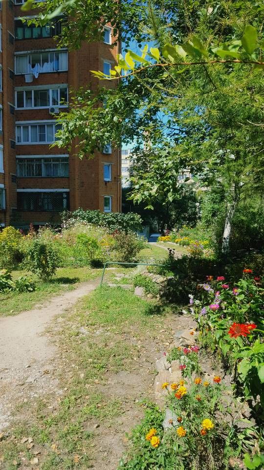 Outdoor Pictures 17
