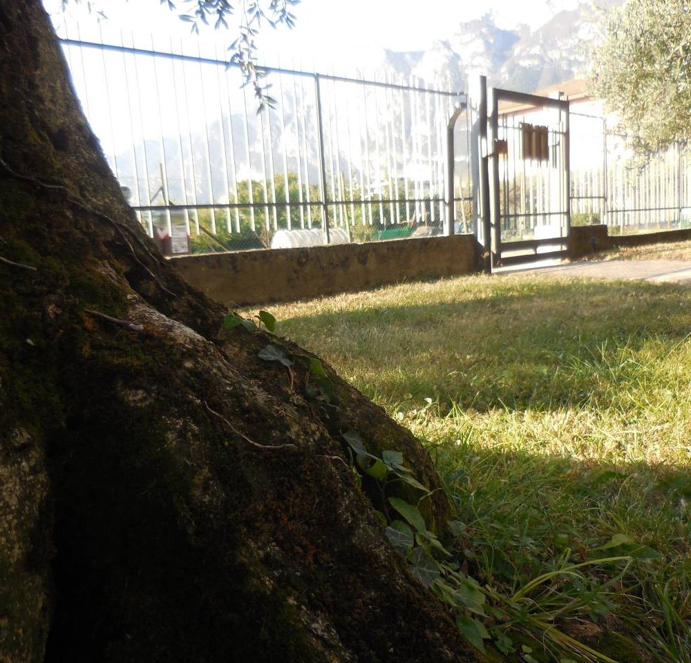 Outdoor Pictures 13
