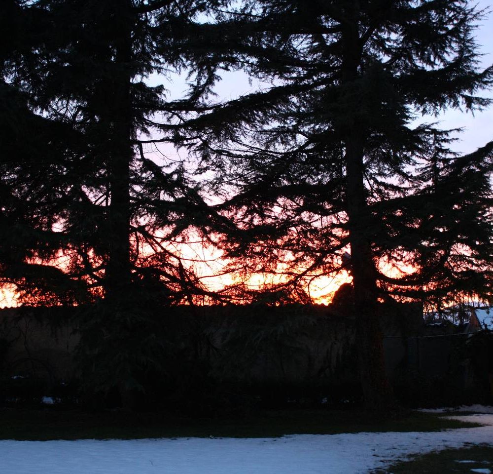 Outdoor Pictures 14