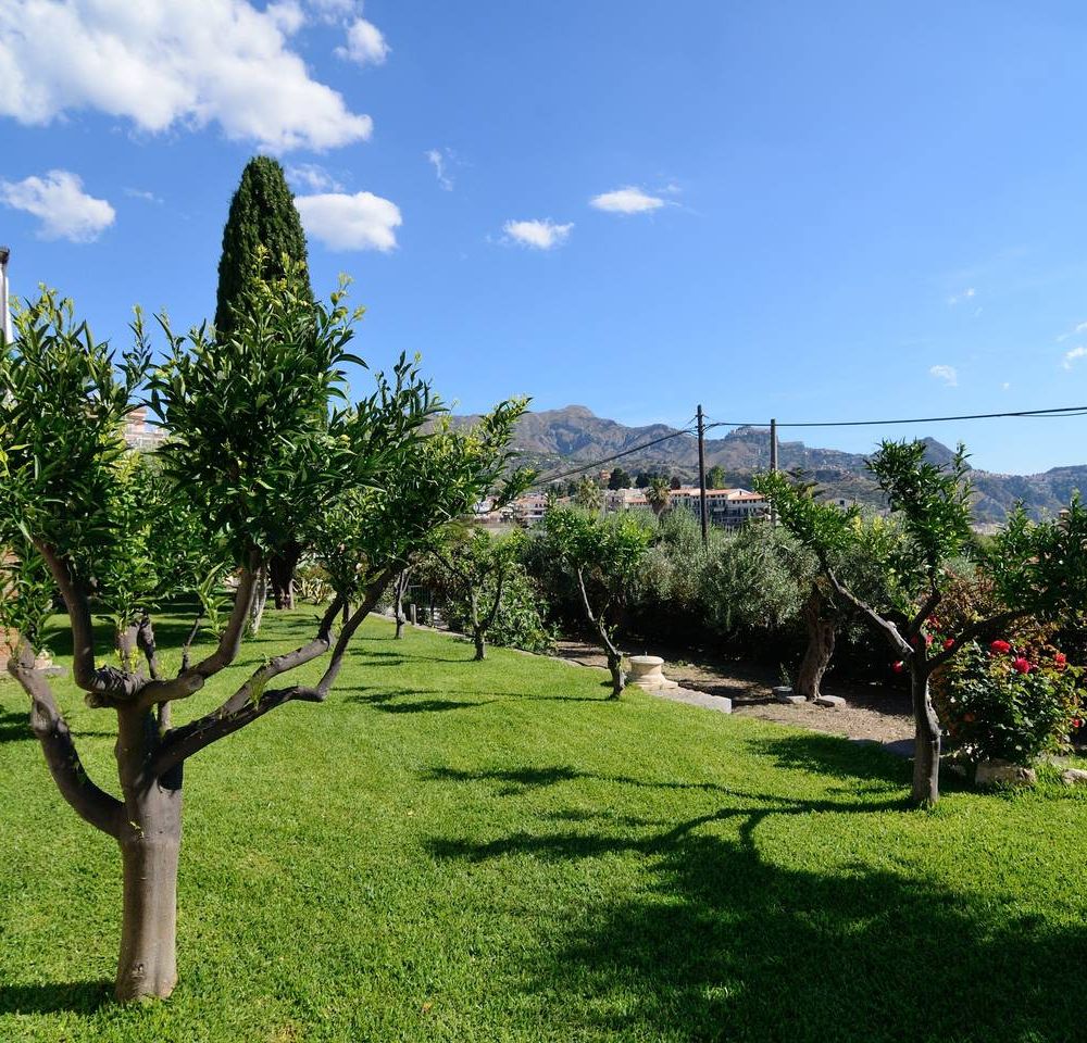Outdoor Pictures 24
