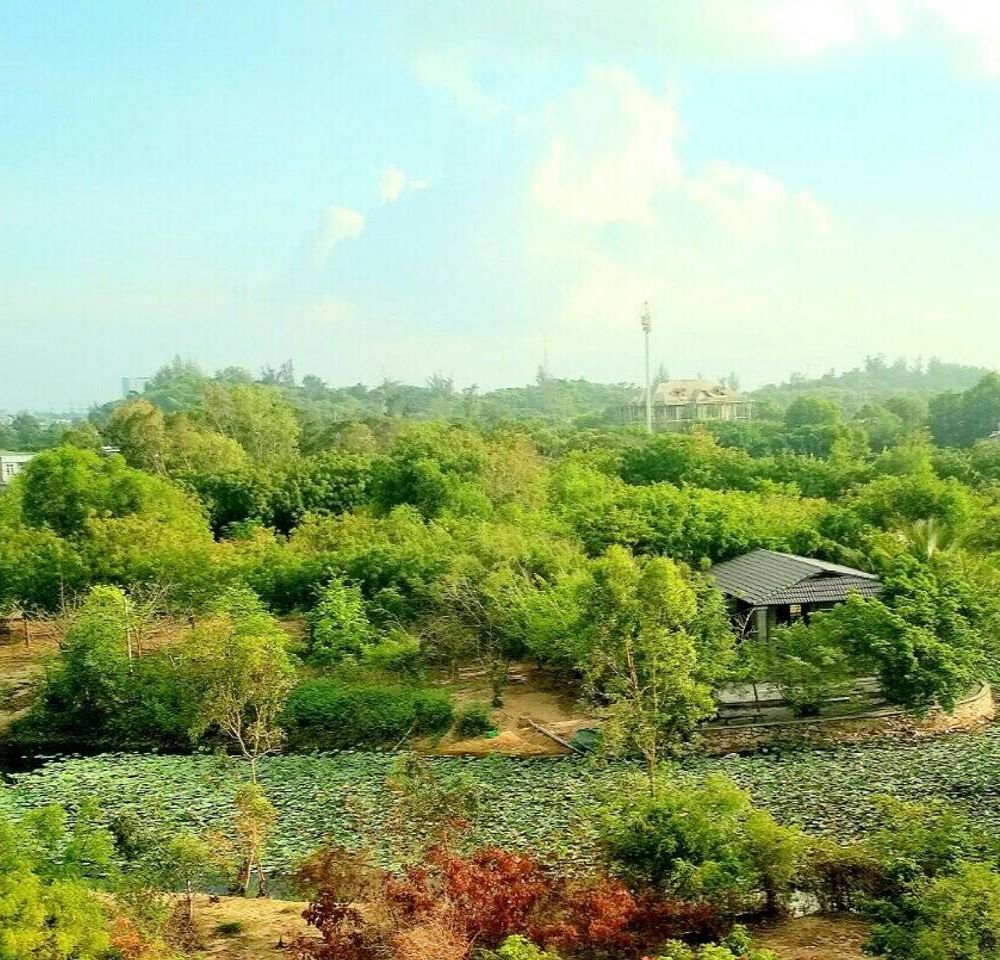 Outdoor Pictures 2