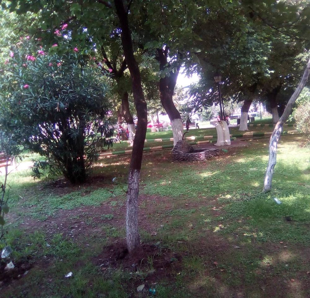 Outdoor Pictures 18