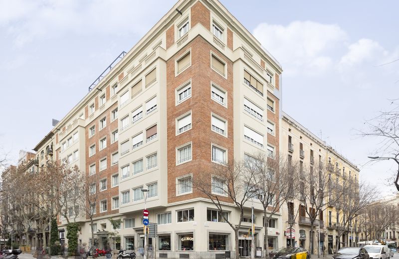 Acta Splendid