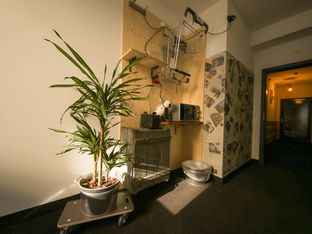 Hotel Image 6