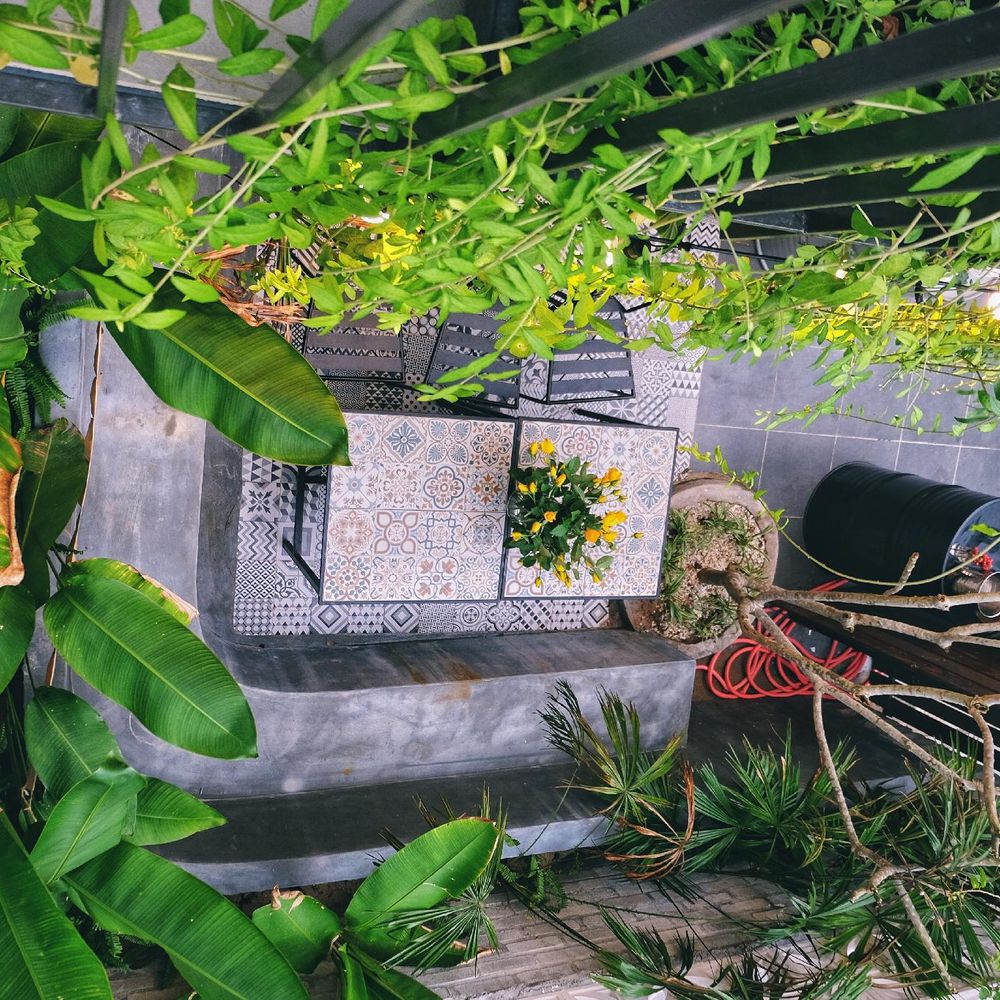 Outdoor Pictures 3