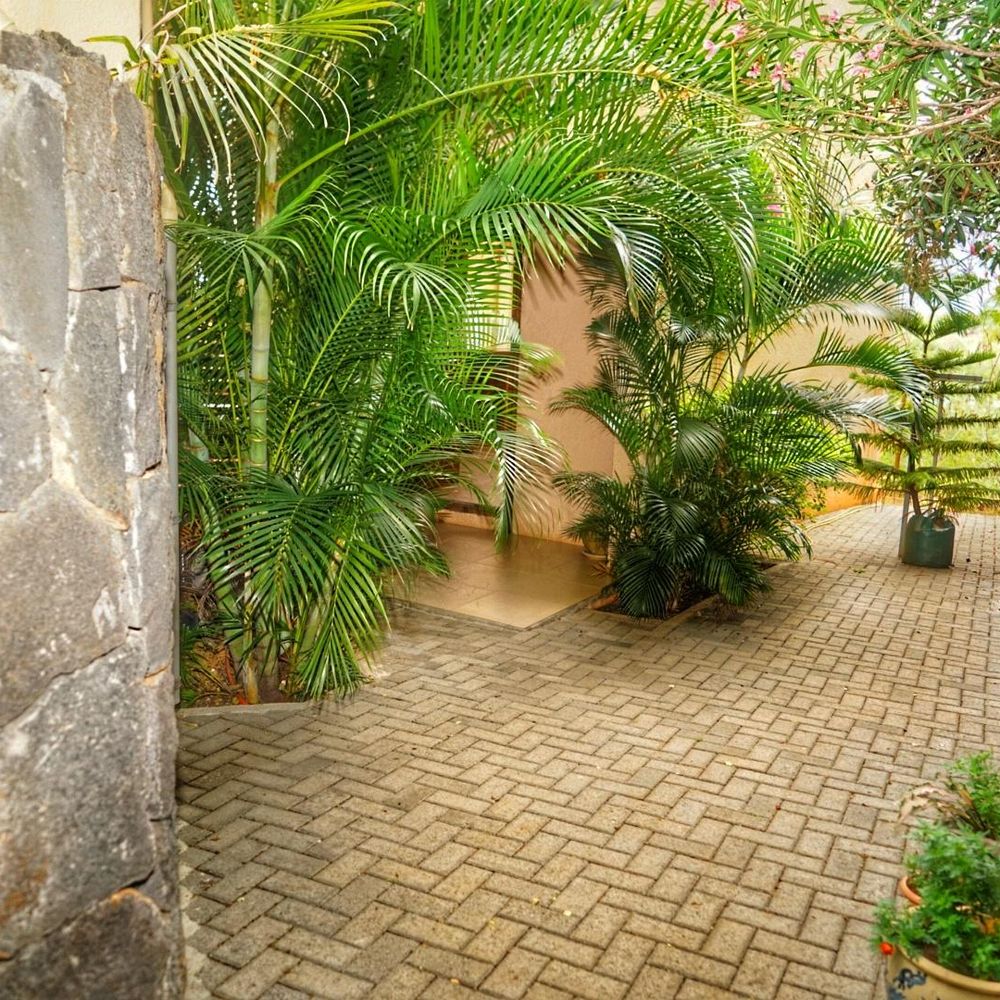 Outdoor Pictures 5